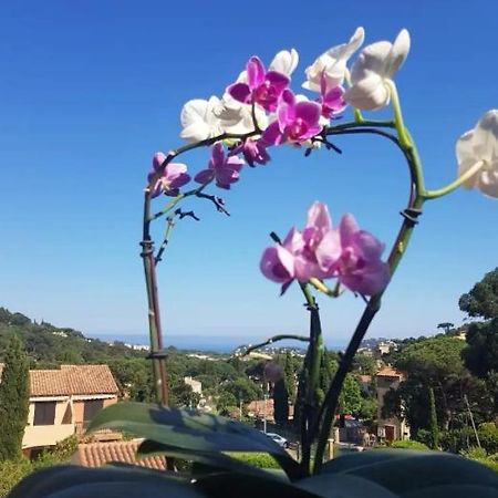 Apartament Hameau Du Soleil Cavalaire-sur-Mer Zewnętrze zdjęcie